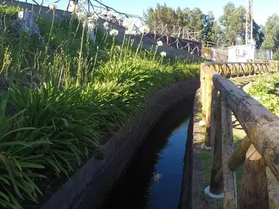 a bridge over a river with plants on it at Ponte House in Porto Moniz