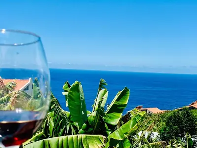 a glass of wine with a view of the ocean at VILLA FELICIDADE in Arco da Calheta