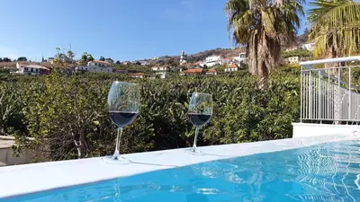 two glasses of wine sitting next to a swimming pool at VILLA FELICIDADE in Arco da Calheta