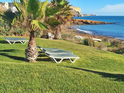 two lounge chairs next to a palm tree in a field at Ocean Villas Luz in Luz