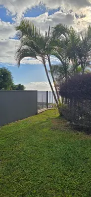 a palm tree in a yard next to a fence at Casa da Praia in Calheta
