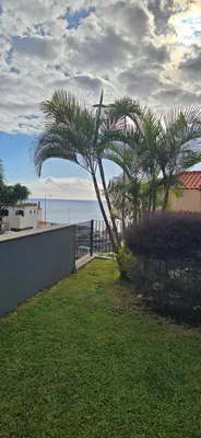 a palm tree in a yard next to a fence at Casa da Praia in Calheta