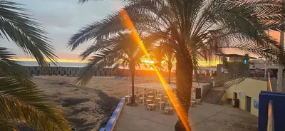 a table and chairs under a palm tree on the beach at Casa da Praia in Calheta