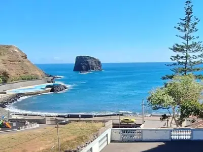 a view of the ocean with a pine tree at Valentina's House in Porto da Cruz
