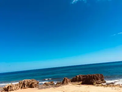 a beach with rocks in the sand and the ocean at Casinha Vista Mar in Porto Santo