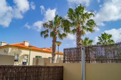 a fence with palm trees in front of a house at Porto Santo Blue House in Porto Santo