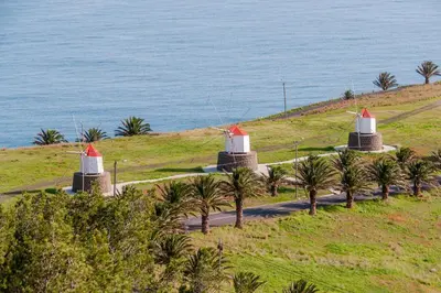 a road with three windmills on a hill with palm trees at Porto Santo Blue House in Porto Santo