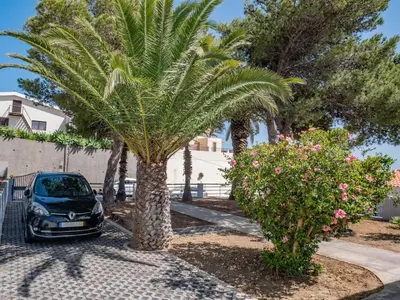 a palm tree and a car parked in a driveway at A Casa do Góis - Villa in Porto Santo in Porto Santo