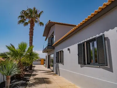 a house with a palm tree next to a sidewalk at A Casa do Góis - Villa in Porto Santo in Porto Santo