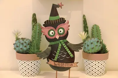 a wooden owl in a witch hat inront of cactus at Oliveira Atlantic View in Funchal