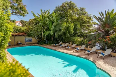 a swimming pool with lounge chairs and trees at Villa Albatroz in Caniço