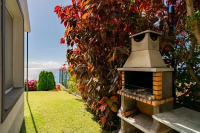 a brick oven sitting next to a ivy covered wall at Villa Albatroz in Caniço