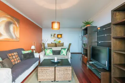 a living room with a couch and a tv at Barcelos Apartment by Holiday Rental Madeira in Funchal