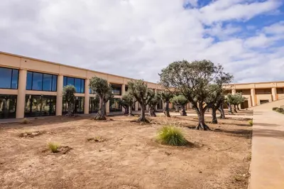 an office building with trees in front of it at The Navigator - Colombus Apartments & Villas in Porto Santo