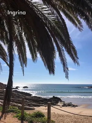 a view of the beach from under a palm tree at maresoul - Ferienapartment soul in Raposeira
