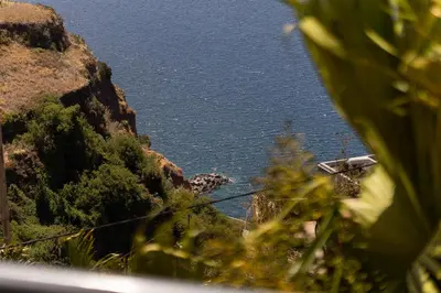 a view of the ocean from a hill with trees at O Meu Sonho in Calheta