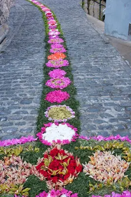 a row of flowers on a brick road at Antonella Home Funchal in Funchal