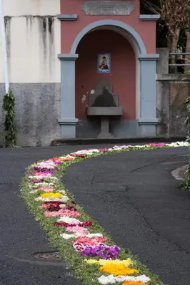 a flower garden in front of a building with a fountain at Antonella Home Funchal in Funchal