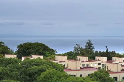 a group of houses on a hill with trees at São Martinho, a Home in Madeira in Funchal