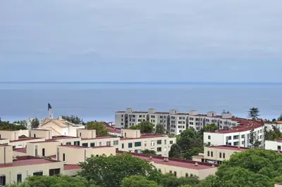 a group of white buildings on a hill with trees at São Martinho, a Home in Madeira in Funchal