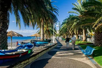 people walking along a beach with palm trees and boats at The Artist Villa in Santa Cruz