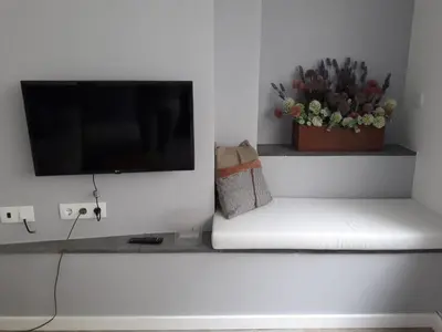 a living room with a tv and a couch with a plant at OLD TOWN Apartment W Interior Terrace - Barreirinha in Funchal