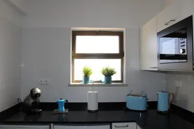 a kitchen with a window with potted plants on the counter at Beach Front Apartment 2 in Sagres