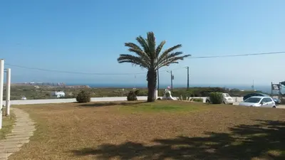 a palm tree in a grassy area with a parking lot at Beach Front Apartment 2 in Sagres