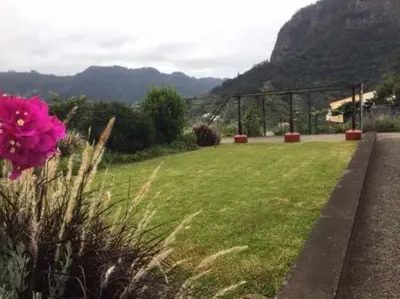 a pink flower in a field of green grass at GuestReady - Casa Avó Alice in Porto da Cruz