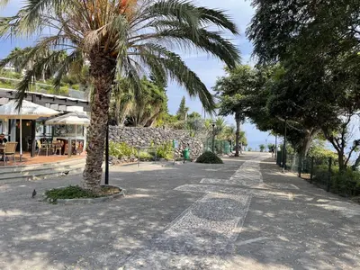 a palm tree in the middle of a street at Centromar Residence Ocean View By Atlantic Holiday in Funchal