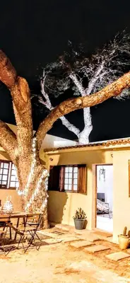 a room with a tree painted on the ceiling at Beach Tree House in Porto Santo