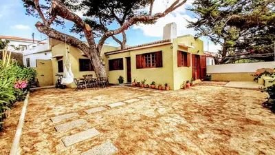 a house with a large yard in front of a tree at Beach Tree House in Porto Santo