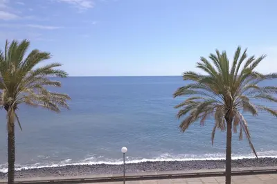two palm trees on a beach with the ocean at Magical Sunset in Madalena do Mar