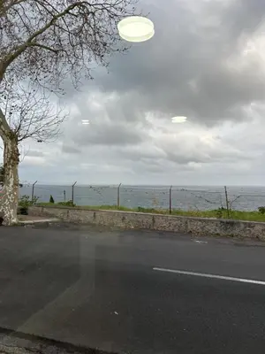 a frisbee flying over a road next to the ocean at Victoria 1942 in Funchal