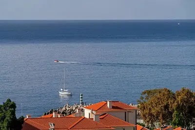 a boat in the water with a flock of birds at Alegria I by An Island Apart in Funchal