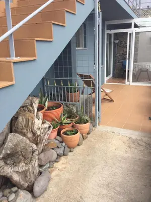 a house with plants in pots under a staircase at Banda Do Sol Self Catering Cottages in Estreito da Calheta