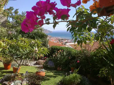 a view of the ocean from a garden with flowers at Apartments Vista Oceano in Funchal