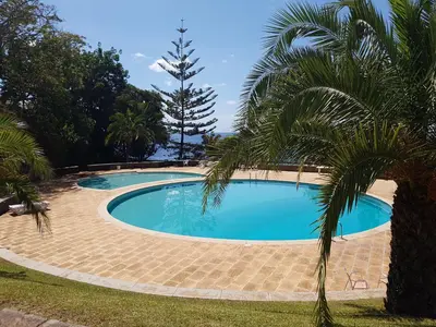 a swimming pool with a palm tree next to it at Listen the sound of the Sea - The Sunset of your Dreams in Funchal
