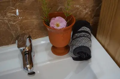 a bathroom sink with a flower pot and a towel at Ocean View Cottage in Ponta do Pargo