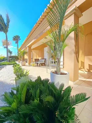 a house with a palm tree in a courtyard at Casa Canavial in Luz