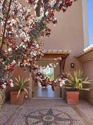 a courtyard with potted plants in a building at Casa Canavial in Luz