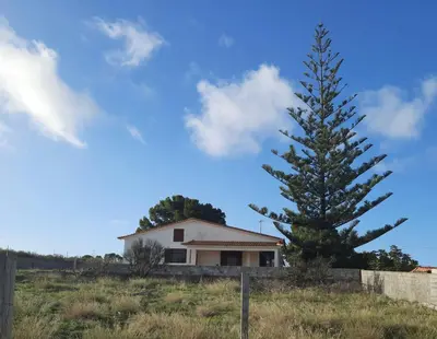 a house and a pine tree in a field at Quintinha das Lombas in Porto Santo
