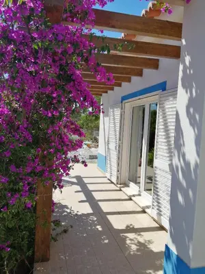 a walkway with purple flowers in front of a building at Endless Summer Surf House in Aljezur