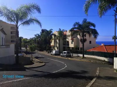 a street view of a street with palm trees at Madeira - Sunset Sea View of Cabo Girão in Funchal