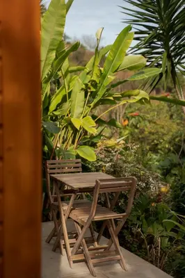 a wooden table and chair sitting next to a plant at Madeira Surf Lodge in São Vicente