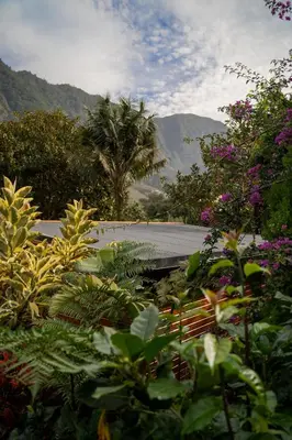 a garden with trees and flowers and a building at Madeira Surf Lodge in São Vicente