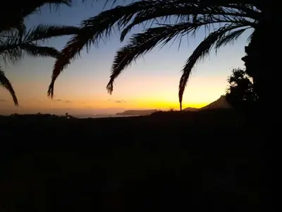 a sunset seen through the leaves of a palm tree at Quintinha das Lombas S in Porto Santo