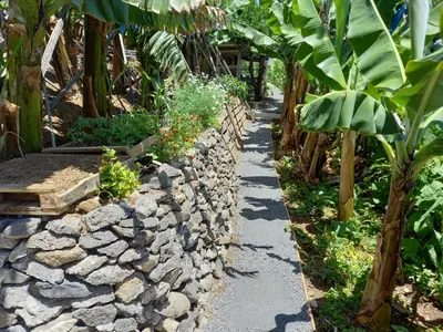 a stone path in a garden with a stone wall at Encanto do Sol in Ponta do Sol