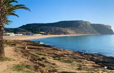 a beach with a palm tree next to the ocean at St. James Beach & Pool Apartment in Luz