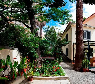 a garden with plants and a bench in front of a house at Vila Vicência in Funchal